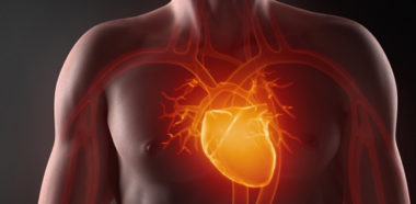 Calvizie e Malattie Cardiache